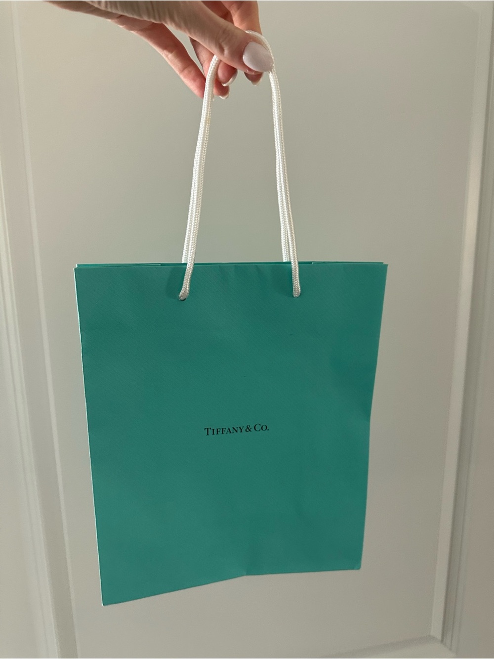 Tiffany & Co. Robin's Egg Blue Paper Tote with White Rope Handles